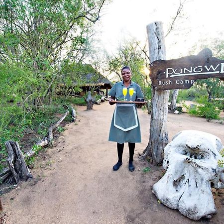 Villa Pungwe Safari Camp Riserva di Caccia Manyeleti Esterno foto