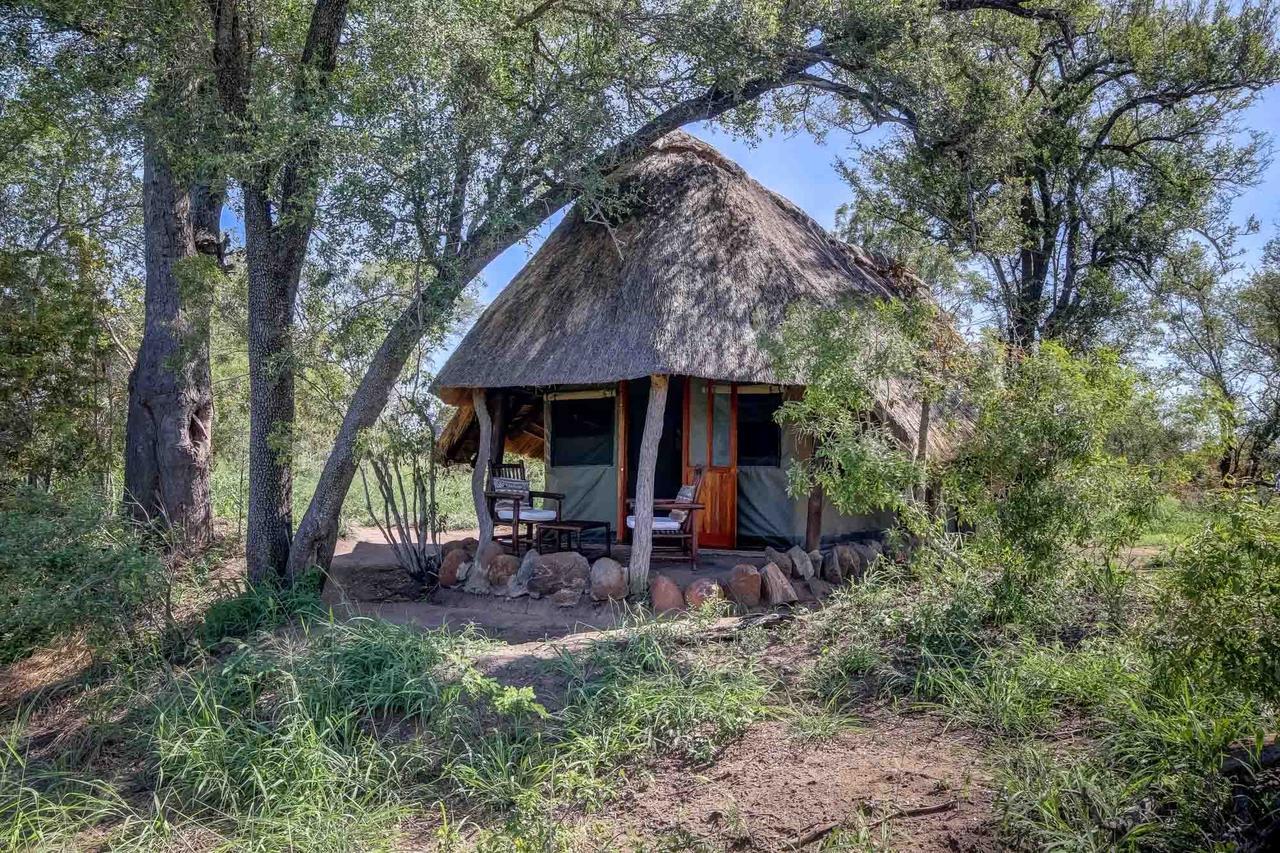 Villa Pungwe Safari Camp Riserva di Caccia Manyeleti Esterno foto